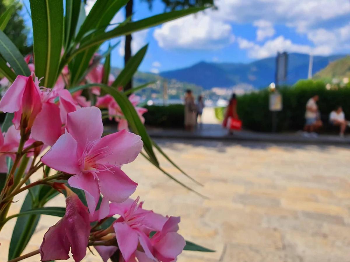 Divina Luxury Apartment With Jacuzzi Near The Lake Como Exteriör bild